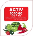 ACTIV 10 10 60 (20Kg)