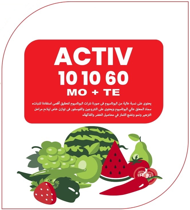 ACTIV 10 10 60 (20Kg)