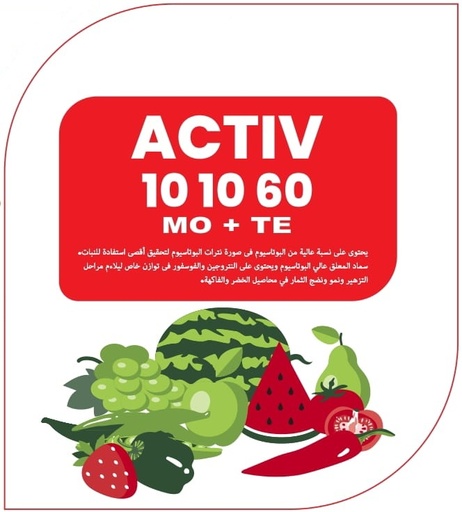 ACTIV 10 10 60 (20Kg)